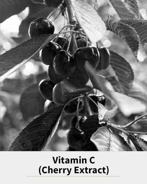 Vitamin C Cherry Extract.jpg